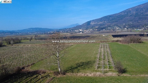 Foto Terreno agricolo a Caprino Veronese Ceredello di 5897 m² in vendita