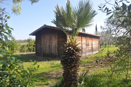 Foto Struttura sanitaria in Via Tronto, Cecina di 30 m² con 1 locali