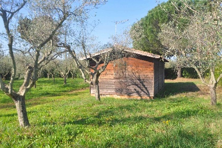 Foto Struttura sanitaria in Via Tronto, Cecina di 30 m² con 1 locali