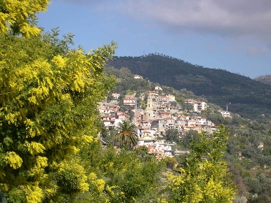 Foto Terreno edificabile a Seborga di 3998 m² in vendita