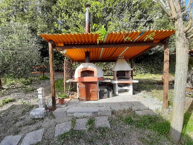 Foto Struttura sanitaria a Rosignano Marittimo di 20 m² con 1 locali