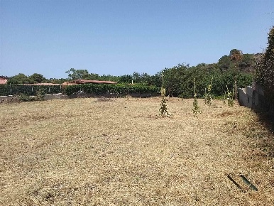 Foto Terreno agricolo in Via Giovanni Grasso, Pedara Centro di 3000 m²
