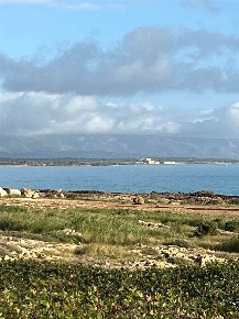 Foto Terreno agricolo in VIII strada, Noto San Lorenzo di 795 m² in vendita