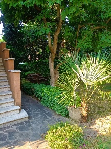 Foto Case semi ndipendenti a Padova San Giuseppe - San Giovanni di 220 m²