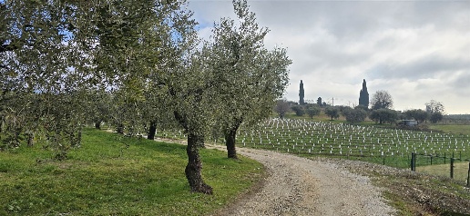 immagine annuncio 6 di 13