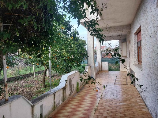 immagine annuncio 3 di 14