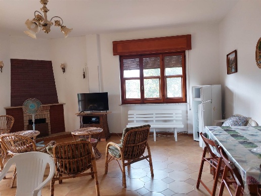 immagine annuncio 5 di 14