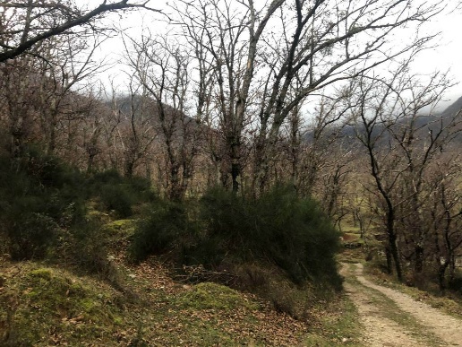 immagine annuncio 5 di 9