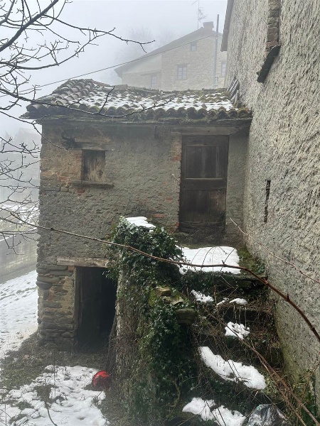 immagine annuncio 2 di 4
