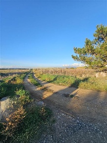 Foto Terreno agricolo a Cecina Cecina Centro di 3885 m² in vendita