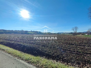 Foto Terreno agricolo a Coriano San Lorenzo Monte di 25000 m² in vendita