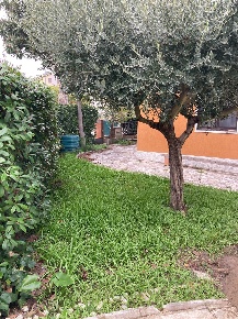 Foto Case semi ndipendenti a Fano Vallato - San Lazzaro di 114 m²