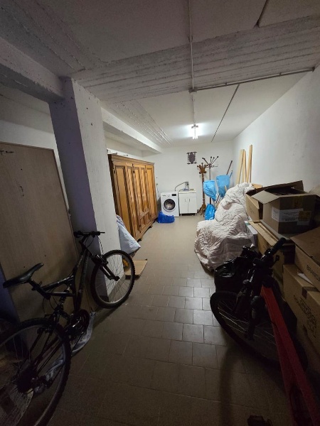 immagine annuncio 11 di 14