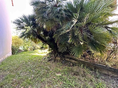 Foto Appartamento a Firenze Galluzzo di 430 m² con 10 locali in vendita