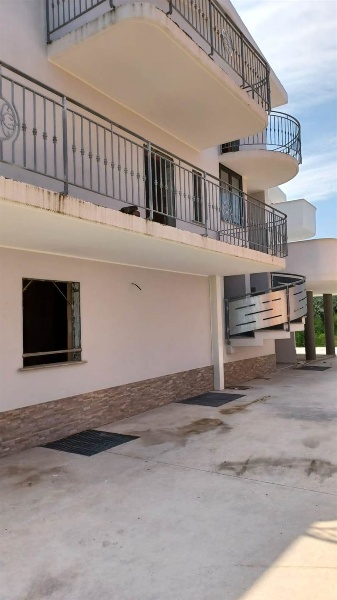 immagine annuncio 1 di 7