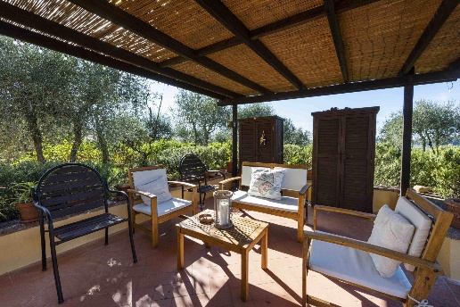 immagine annuncio 3 di 14