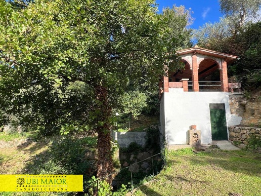 immagine annuncio 4 di 12