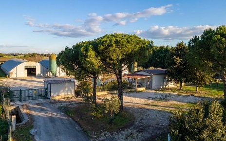 Foto Cessione attività a Castiglione del Lago Contrada Prati di 6860 m²
