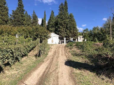 Foto Appartamento a Tufo di 3500 m² in vendita