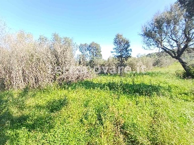 Foto Terreno agricolo in Complanare Sud, Olbia Castello Pedres di 17459 m²
