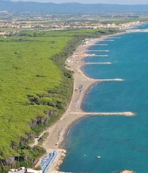 immagine annuncio 8 di 9