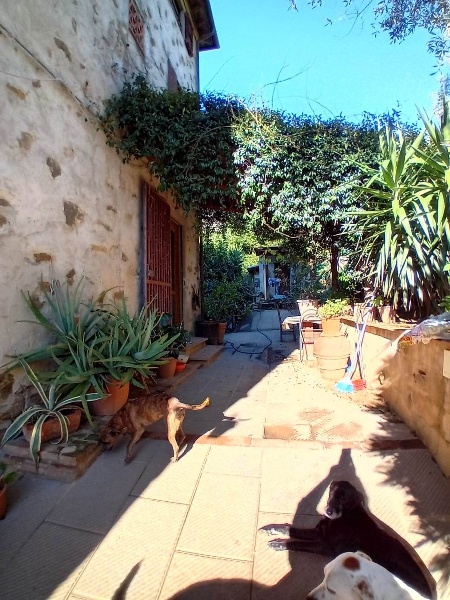 immagine annuncio 4 di 8