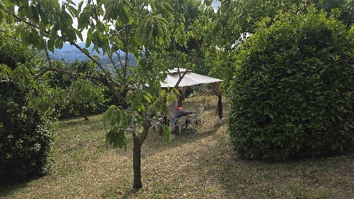 immagine annuncio 3 di 8