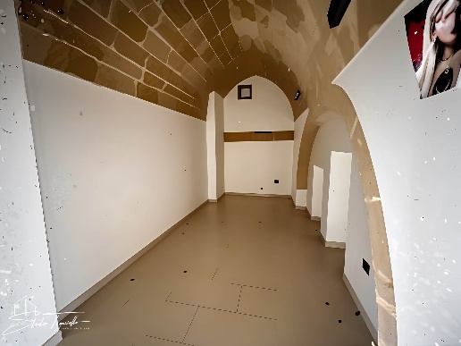 immagine annuncio 9 di 12