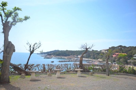 Foto Appartamento in Via di Portovecchio 16, Rosignano Marittimo di 46 m²