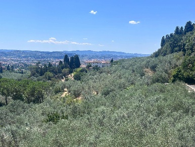 Foto Villa unifamiliare a Firenze Settignano di 255 m² con 9 locali