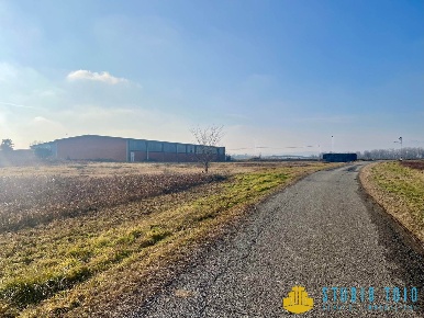 Foto Terreno edificabile a Carisio di 10000 m² in vendita