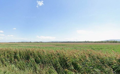 Foto Villa unifamiliare a Pisa Ospedaletto di 110 m² con 8 locali