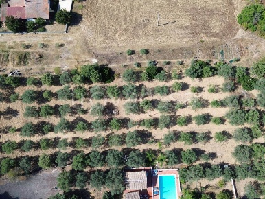 Foto Terreno agricolo in Strada per Ognina 12, Siracusa Arenella di 5700 m²