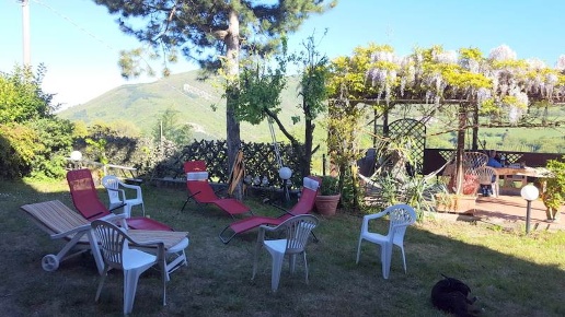 immagine annuncio 12 di 15