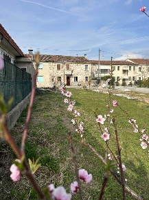 Foto Rustico a Zimella Santo Stefano Bonaldo di 206 m² con 10 locali