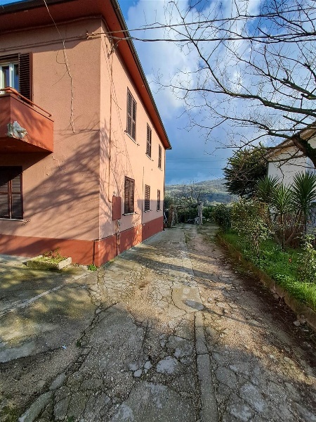 immagine annuncio 2 di 14