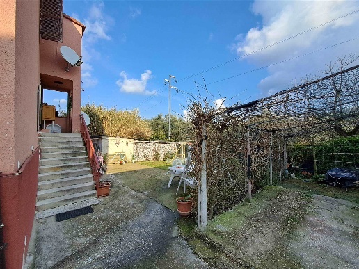 immagine annuncio 12 di 14