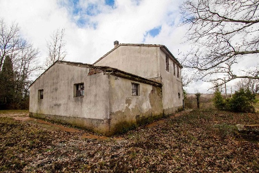 immagine annuncio 2 di 11