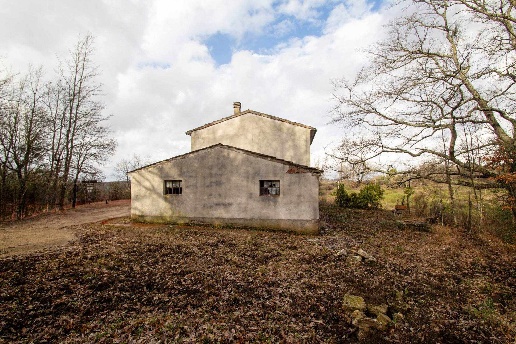 immagine annuncio 3 di 11