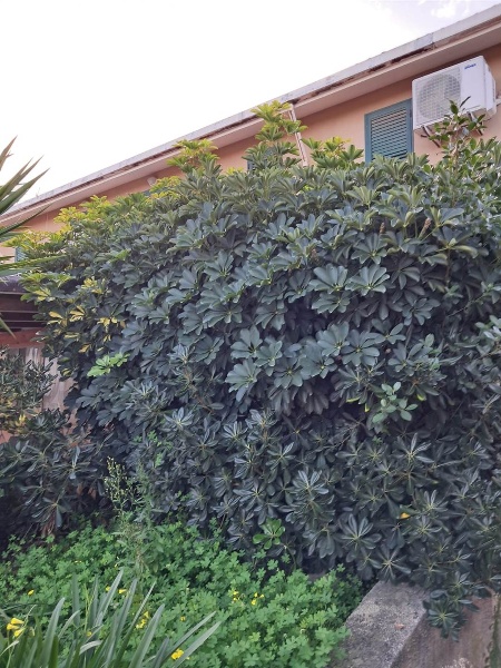 immagine annuncio 6 di 8