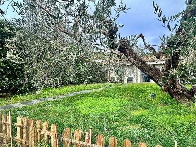 Foto Villa a schiera a Castiglione della Pescaia Tirli, Vetulonia, Buriano