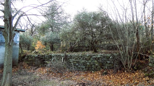 Foto Rustico in Strada Regionale Mareneve, Castiglione di Sicilia di 140 m²