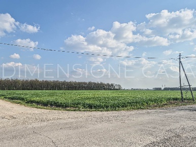 Foto Terreno agricolo in VIA MADONNA 14, Camposanto di 56500 m² in vendita