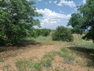 Foto Terreno agricolo in Santo Spirito, Caltanissetta Centro di 31260 m²