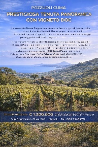 Foto Terreno edificabile a Pozzuoli Monterusciello di 57440 m² in vendita