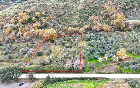 Foto Terreno agricolo in Via Nazionale, Carinola Casanova di 4500 m²