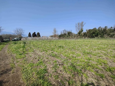 Foto Terreno agricolo in localita fellonica, San Michele di Serino