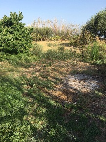 Foto Terreno agricolo in contrada san cataldo, Trappeto San Cataldo