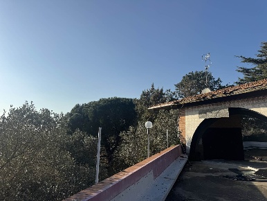 Foto Attività commerciale a Rosignano Marittimo Rosignano Marittimo Paese