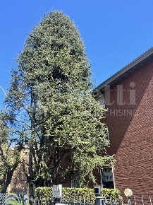 Foto Appartamento in Via della Pace 2, Sasso Marconi Centro di 107 m²